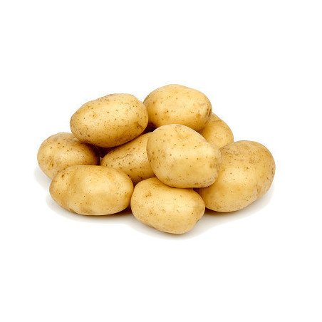 CARTOFI SAC~10KG-PATATE