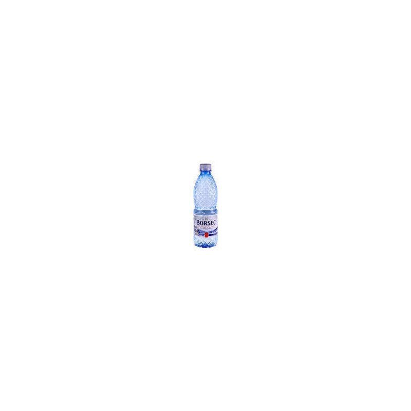 APA NATURALA BORSEC 0,5L-ACQUA MINERALE NATURALE