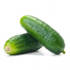 CASTRAVETI CORNISON SAC~25KG-CETRIOLI VERDI