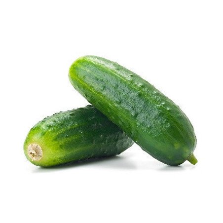 CASTRAVETI CORNISON SAC~25KG-CETRIOLI VERDI