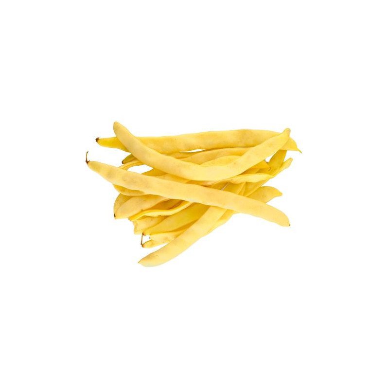 FASOLE PASTAI GALBENA CUTIE ~4KG-FAGIOLI