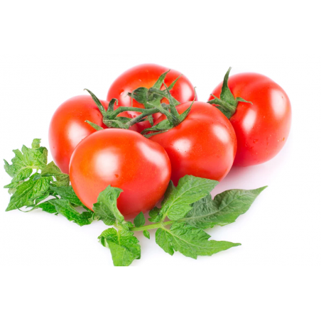 ROSII GRECIA - POMODORI ROSSI