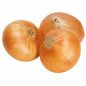 CEAPA GALBENA SAC 20KG-CIPOLLA GIALLA