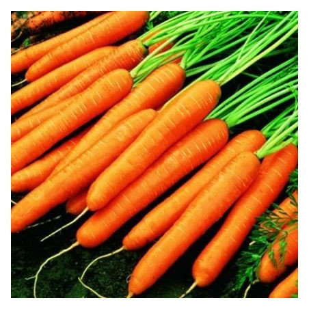MORCOV SAC 10KG-CAROTA