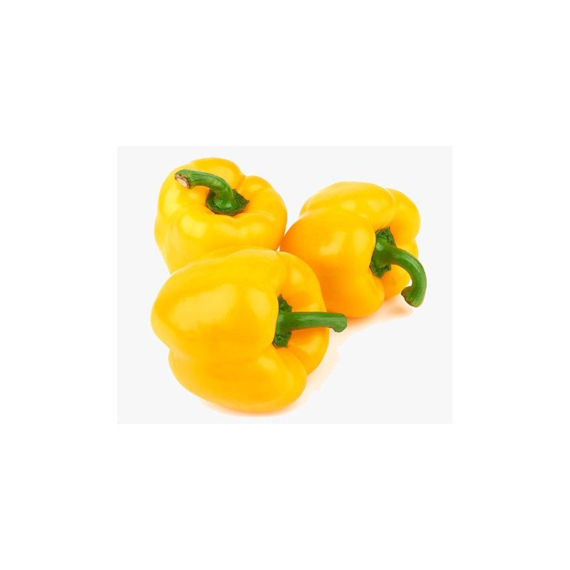 ARDEI GRAS GALBEN ~4.5KG-PEPRONE GIALLO