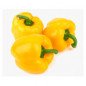 ARDEI GRAS GALBEN ~4.5KG-PEPRONE GIALLO