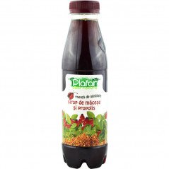 SIROP MACESE SI PROPOLIS 500ML