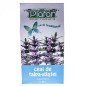 PLAFAR CEAI DE TALPA GASTII - LEONURI HERBA, CUTII 50G - TISANA