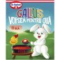 DR. OETKER VOPSEA DE OUA GALLUS ROSU 7 G