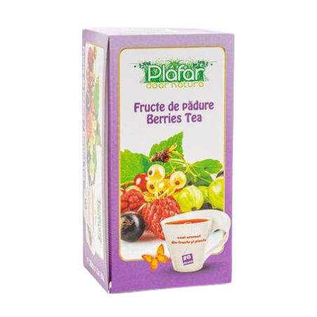 PLAFAR CEAI DE FRUCTE DE PADURE 20 DZ*1G - TISANA